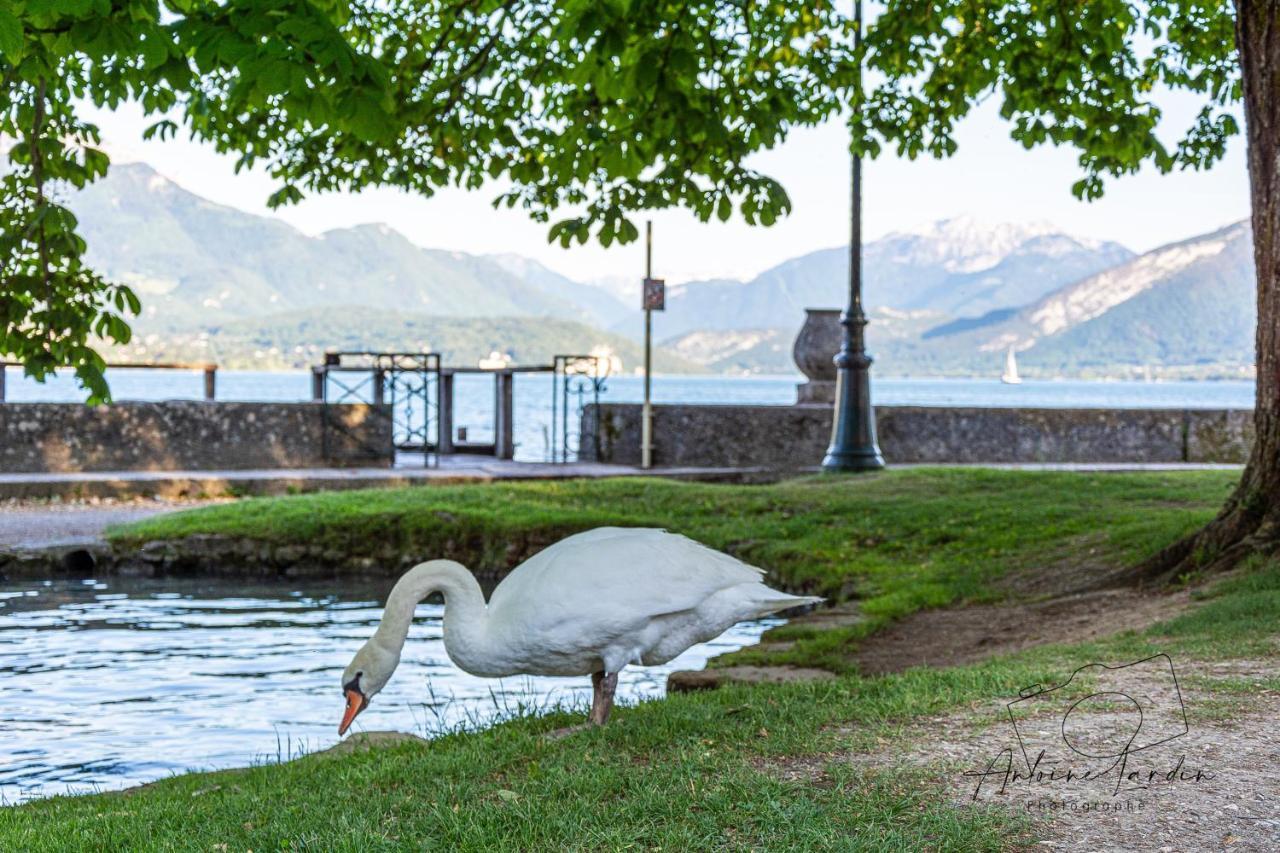 L'Amedee - Appt A 500M Du Lac Annecy Exteriér fotografie